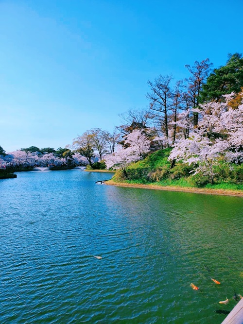 高田城址公園